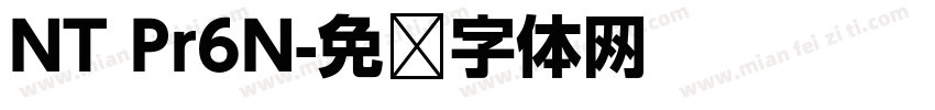 NT Pr6N字体转换